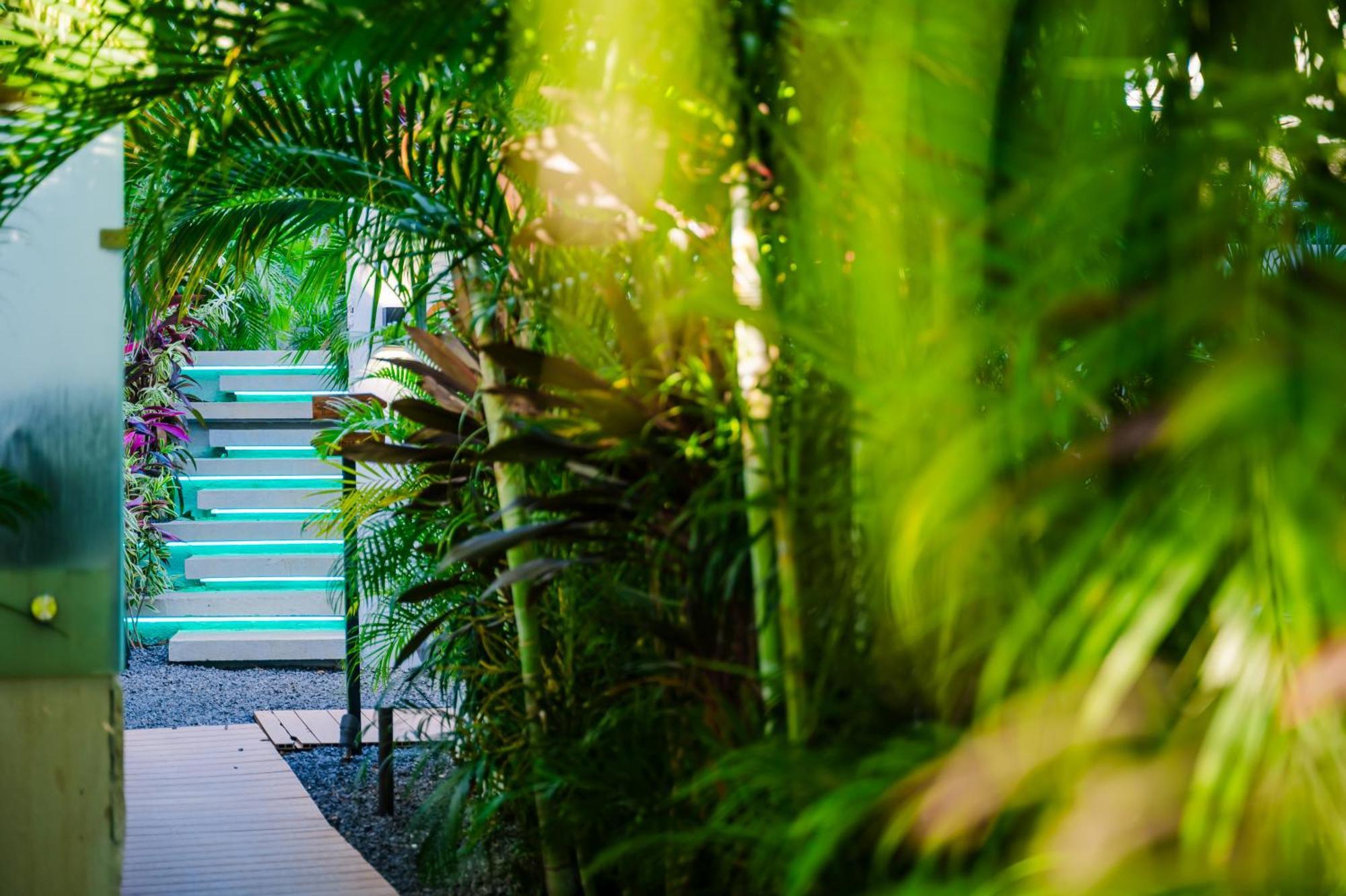 Mvillas Luxury Villas With Beach Club Access & Sauna 塔马林多 外观 照片